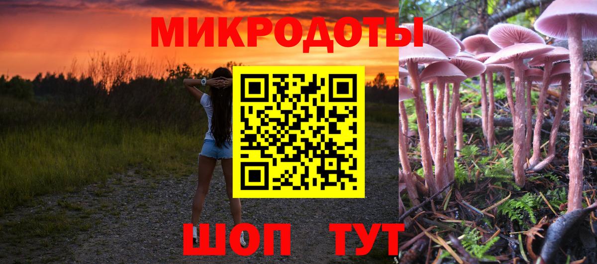 Галлюциногенные грибы Magic Shrooms Донецк